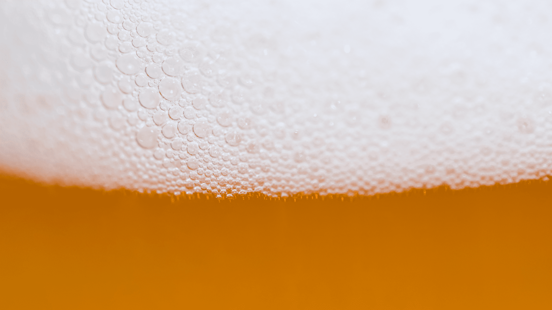 BSL-guide-prevent-beer-fobbing BSL's guide to preventing beer fobbing